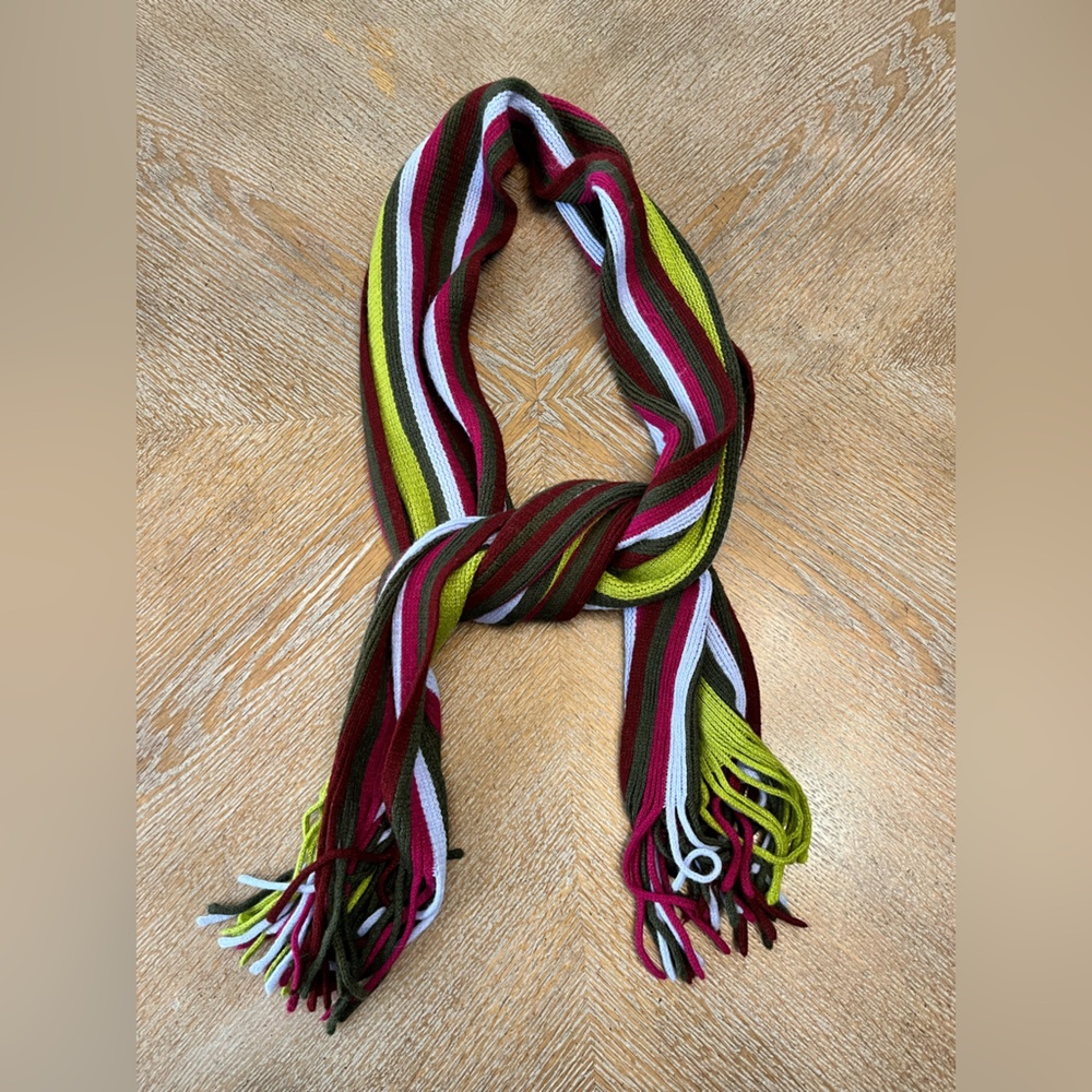 Rectangular Scarf Multi Color Stripe Fringed Ends… - image 1